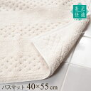 バスマット 約40×55cm 「素足快適 コットンリバース」 ベージュ [ ナチュラル シンプル 天然素材 綿 ケナフ アクリル 吸水 浴室 足ふきマット バス...