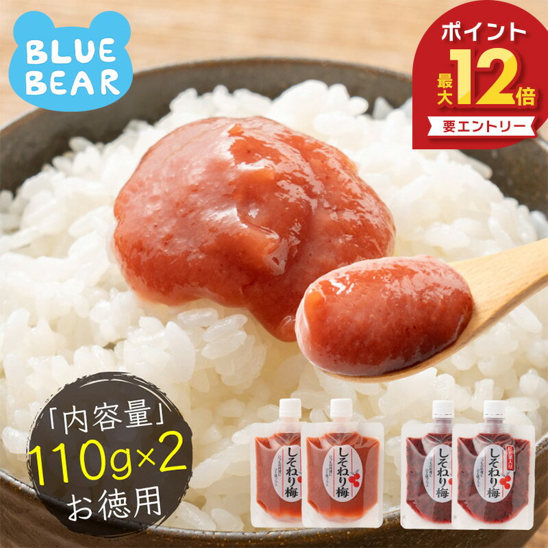  無添加 国産 ねり梅 種類が選べる 110g×2個セット 送料無料 1,000円ポッキリ 梅 うめ 梅干し 福井梅 国産梅 国産うめ 練り梅 調味料 梅干し しそ梅 おにぎり お弁当 お取り寄せ ギフト グルメ お中元 御中元