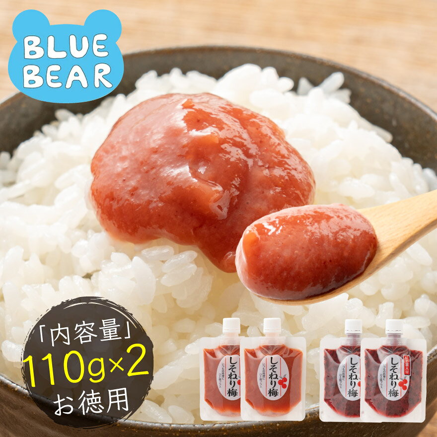 無添加 国産 ねり梅 種類が選べる 110g×2個セット 送料無料 1,000円ポッキリ 梅 うめ 梅干し 福井梅 国産梅 国産うめ 練り梅 調味料 梅干し しそ梅 おにぎり お弁当 お取り寄せ ギフト グルメ 敬老の日