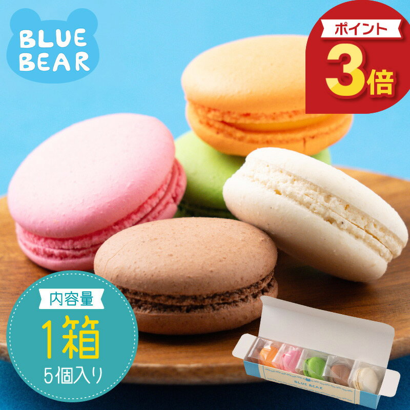 【4/30限定 ポイント3倍！】 マカロン 詰め合わせ 5個セット チョコ ラズベリー バ...