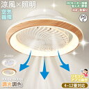 ⭐️【5年保証】⭐️シーリングファンライト led 360°首振りAPP対応 dcモーターフ 調光調色 ...