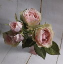 オールドローズ オールドローズ【三輪と蕾付き】CT触媒・バラ・薄ピンクのバラアイボリーのバラ・ブーケ・枯れない花オールドローズ・誕生日・オールドローズ・大きな花