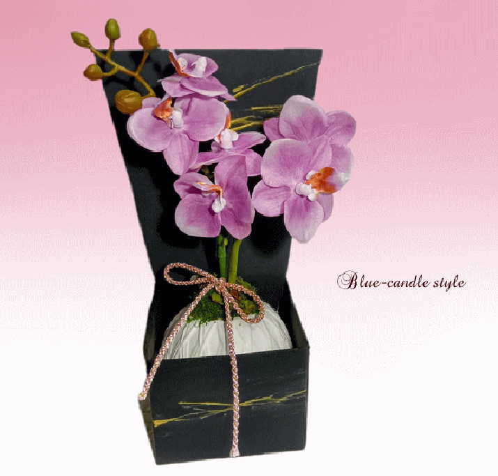 餷ĳ祦󡦥ߥߺϡŹˤ۽ˤ뺧ˤϷŴΤˤCT