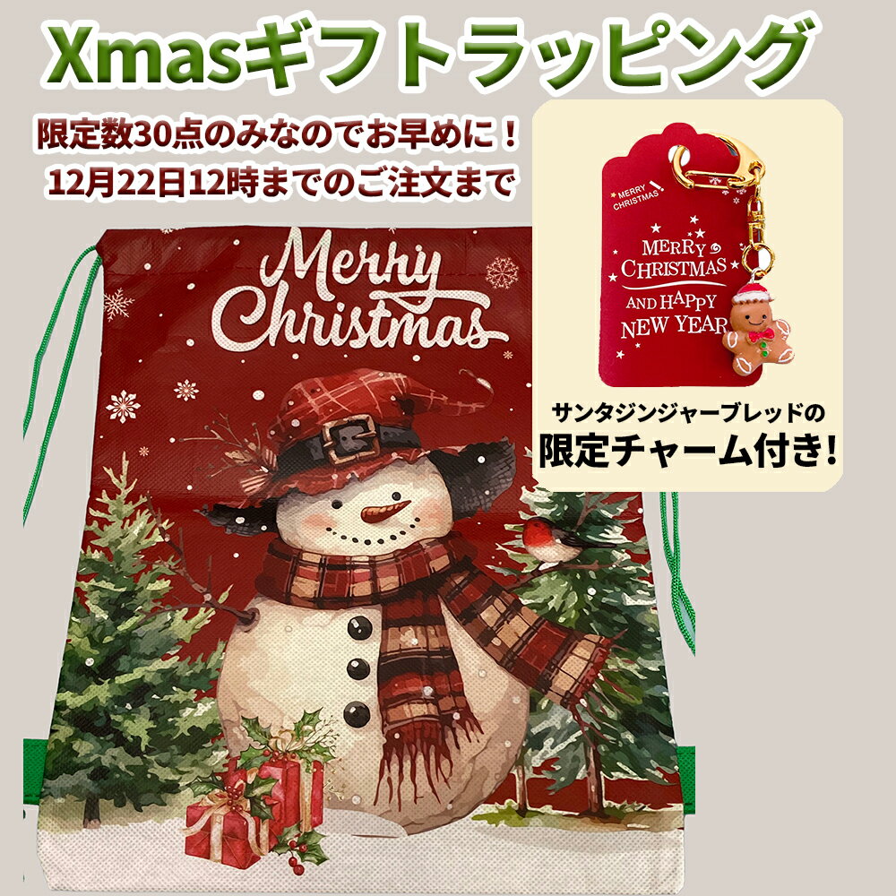 同時購入限定 クリスマスギフト ラッピングバッグ ラッピングギフト