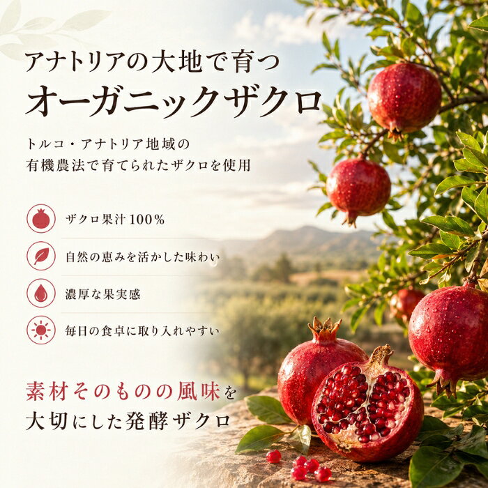 発酵ザクロ 〔9〕 250ml ×3個セット │ オーガニック 無添加 ザクロ果汁 砂糖不使用 トルコ産 ザクロジュース ザクロソース 低温加熱 発酵飲料 ザクロ酢 健康 美容 ビタミン エラグ酸 blue-horizon-10014155 健康雑貨のお店「blue horizon」 サンプル画像2