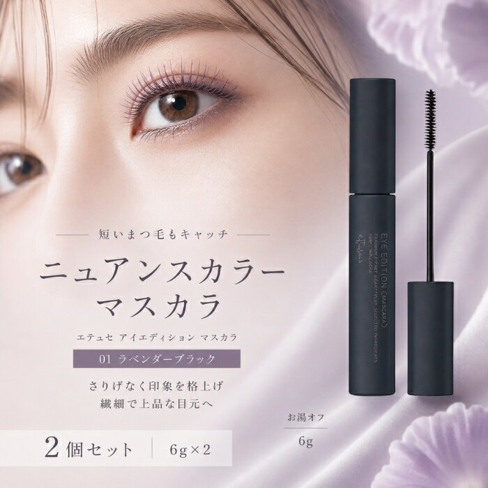 エテュセ アイエディション マスカラ 01 ラベンダーブラック 6g ×2個セット │ ニュアンスカラー 極細ブラシ お湯オフ ロング カール キープ にじみにくい まつげ メイク アイメイク 涙
