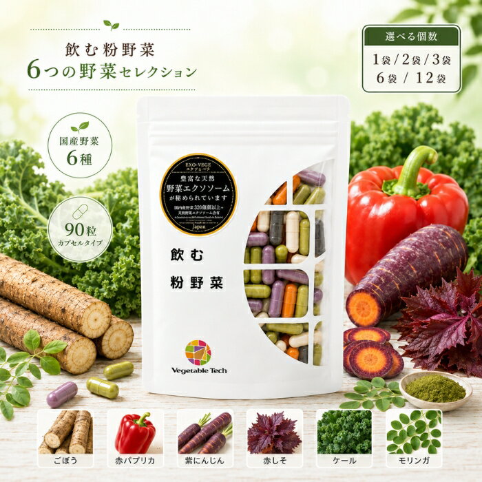飲む粉野菜 6つの野菜セレクション 90粒 ベジタブルテック 野菜パウダー サプリ 国産100％ 野菜不足 カプセル 粉末 国産野菜 6種 モリンガ ケール ごぼう 食物繊維 妊娠中 子供 健康 栄