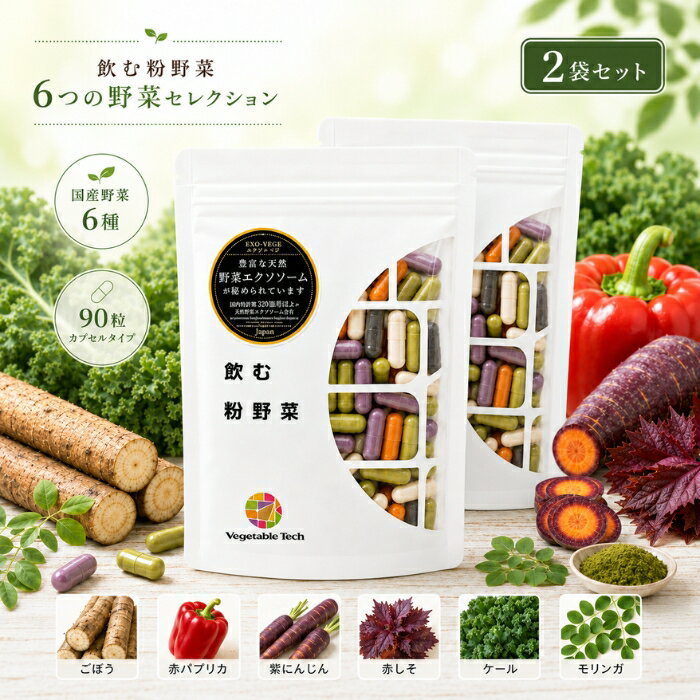 飲む粉野菜 6つの野菜セレクション 90粒 ×2個セット │ ベジタブルテック 野菜パウダー サプリ 国産100％ 野菜不足 カプセル 粉末 国産野菜 6種 モリンガ ケール ごぼう 食物繊維 妊娠