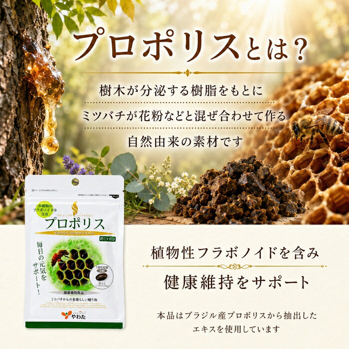 やわた ヘルスサポート プロポリス 90粒 ×3個セット │ 約1ヶ月分 八幡物産 ブラジル産プロポリスエキス配合 フラボノイド ビタミンE配合 ソフトカプセル サプリメント 健康補助食品 健康維持 blue-horizon-10014321 健康雑貨のお店「blue horizon」 サンプル画像3