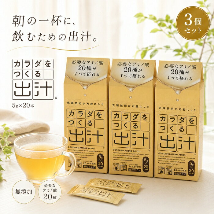 カラダをつくる出汁 5g ×3個セット │ ×20本 無添加 だし 出汁 顆粒 スティック カツオ イワシ コンブ 無臭ニンニク 天然アミノ酸20種 食物繊維 調味料 無脂肪 塩分糖分不使用 味噌汁
