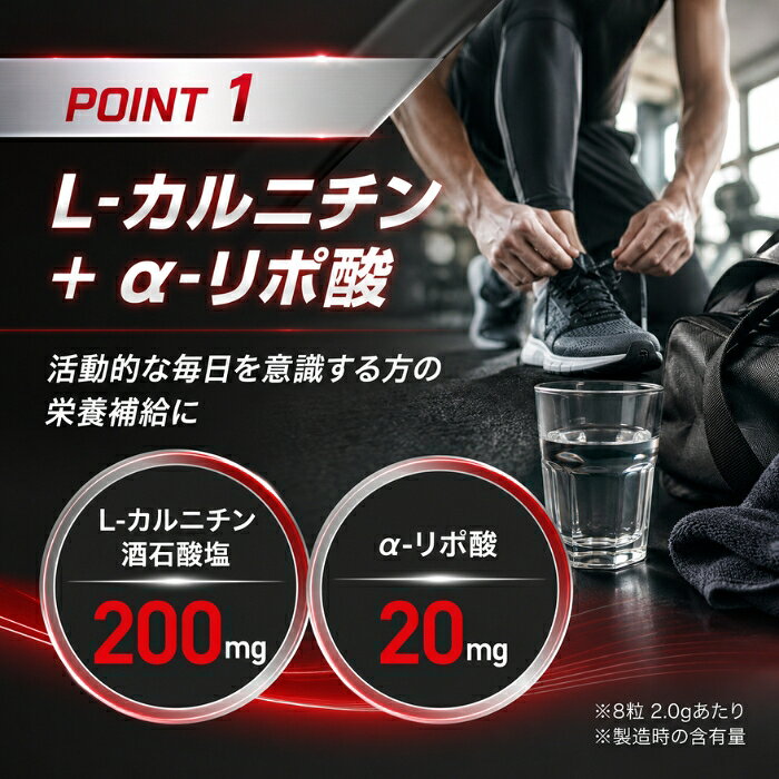 L-カルニチン+α-リポ酸 240粒 ×12個セット │ ユウキ製薬 サプリメント L-オルニチン アルギニン ロイシン ビタミンB2 配合 約30日分 健康補助食品 粒タイプ 国産 男女兼用 燃焼 blue-horizon-10014383 健康雑貨のお店「blue horizon」 サンプル画像2