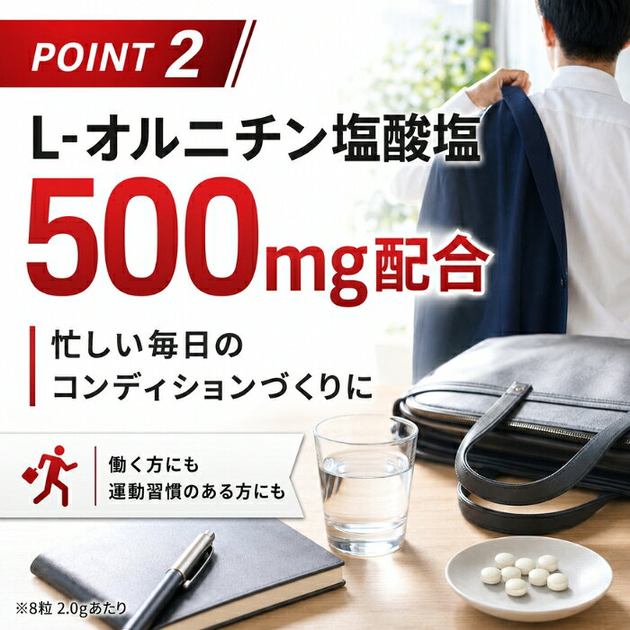 L-カルニチン+α-リポ酸 240粒 ×12個セット │ ユウキ製薬 サプリメント L-オルニチン アルギニン ロイシン ビタミンB2 配合 約30日分 健康補助食品 粒タイプ 国産 男女兼用 燃焼 blue-horizon-10014383 健康雑貨のお店「blue horizon」 サンプル画像3