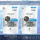 マンダム 【ルシード】 薬用デオドラントボディウォッシュ つめかえ用 380ml 2個セット mandom LUCIDO ボディウォッシュ ボディケア 詰め替え...
