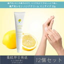 【瀬戸内レモン】 ハンドクリーム ミニサイズ 20g 12個セット│ デイリーアロマジャパン デイリーアロマ ギフト プレゼント 日本製 瀬戸内 レモン LEM...