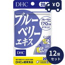 DHC ブルーベリーエキス 20日分 (40粒入) 12個セット ディーエイチシー サプリメント 健康食品 粒タイプ 人気 ダイエット タブレット 健康食品 人...