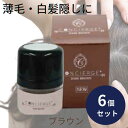 ヘアファンデーション ポンポン頭皮ファンデ ダークブラウン 6個セット ポンポン 薄毛 白髪隠し パウダー 白髪かくし ファンデーション 生え際 生え際薄毛隠し...