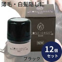 ヘアファンデーション ポンポン頭皮ファンデ ブラック 12個セット ポンポン 薄毛 白髪隠し パウダー 白髪かくし ファンデーション 生え際 生え際薄毛隠し 白...