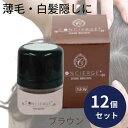 ヘアファンデーション ポンポン頭皮ファンデ ダークブラウン 12個セット ポンポン 薄毛 白髪隠し パウダー 白髪かくし ファンデーション 生え際 生え際薄毛隠...