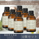 【アロマプロ】 オーガニックキャリアオイル ホホバゴールデン 65mL 6個セット │ デイリーアロマジャパン デイリーアロマ 日本製 保湿 ホホバオイル 自然...