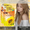 ディアボーテ オイルイン コンディショナー リッチ&リペア 詰替用 (400g) ×2個セット 本体 【クラシエ】 髪ゆがみケアテクノロジーでうねり・くせ・パサ...
