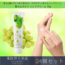 【富士山ぶどう】 ハンドクリーム 75g 24個セット │ デイリーアロマジャパン デイリーアロマ ギフト プレゼント 日本製 富士山 ぶどう 葡萄 保湿 乾燥...