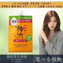 【選べる個数】熊野油脂 四季折々 薬用 柿渋 ボディソープ 大容量 つめかえ 1000ml 液体タイプ 詰替 詰め替え 保湿 体臭 汗臭
