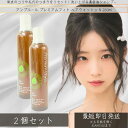 アンプルール プレミアムフィト ヘアウォッシュN 260mL ×2個セット │ スカルプ ケア スーパーヒアルロン酸 メンズシャンプー ノンシリコン 頭皮ケア 男性 美容室 セラミド 【シャンプー】