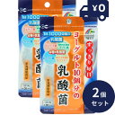 リケン ヨーグルト10個分の乳酸菌 62粒 2個セット 日本製 ユニマットリケン サプリメント 粒タイプ 疲健 携帯 便利 サプリ 乳酸菌サプリメント 腸活 整...