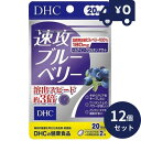 DHC サプリメント 速攻ブルーベリー 20日分(40粒) 12個セット ディーエイチシー サプリメント 健康食品 粒タイプ 人気 サプリ 食事 健康 健康食品 パソコン 長時間 車の運転 画面 目(4)