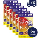 DHC ナットウキナーゼ 20日分(20粒) 6個セット ディーエイチシー サプリメント 健康食品 粒タイプ 人気 サプリ納豆菌培養エキス末 セルロース