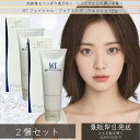MTメタトロン MTフェイシャル・フォアミング・ウォッシュ 120 ×2個セット │ リニューアル洗顔料 洗顔フォーム 保湿 エイジングケア 高保湿 乾燥肌 敏感肌 メタトロン化粧品