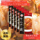 ファーチェ 本格キムチの素 116gx5袋(白菜1kg用) 白菜に混ぜるだけでキムチ 花菜 韓国 まぜるだけ キムチの素 生野菜 1kg用