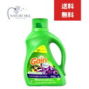 ゲイン リキッド ムーンライトブリーズ 2070ml 0037000771791 衣料用洗剤 本体 便利 大容量 洗濯洗剤 かっこいい Gain 海外輸入品 業務用洗剤