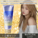トゥルースト バイエスフリー 酸熱TR ヘアマスク 180g 12個セット コスメテックスローランド TS TRヘアマスクAD 酸熱トリートメント成分配合 ヘアマスク