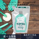 【ウタマロ キッチン】 250ml 東邦 詰め替え 住居用洗剤 さわやかなグリーンハーブの香り 洗剤 住居用 ( 食器用洗剤 詰め替え )