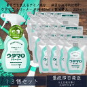 【ウタマロ クリーナー】 400ml 東邦 本体 1個 + 詰め替え 250ml 12個セット 住居用洗剤 さわやかなグリーンハーブの香り 洗剤 住居用