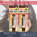 【50の恵】 頭皮いたわりカラートリートメント ナチュラルブラック 150g 2個セット ロート製薬 白髪染め ヘアケア トリートメント 海藻成分 ダメージ補修
