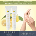 【高知県産YUZU】 ハンドクリーム ミニサイズ 20g 2個セット │ デイリーアロマジャパン デイリーアロマ ギフト プレゼント 日本製 ゆず 柚子 国産柑橘 保湿 乾燥対策 ハンドケア 持ち運び ミニ 天然由来 精油配合 美白 美肌 天然成分 まとめ買い