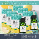 【昼・夜ブレンド】 昼用ブレンド エッセンシャルオイル 10ml 6個セット │ デイリーアロマジャパン デイリーアロマ ギフト プレゼント 日本製 ローズマリー・カンファー レモン アロマオイル まとめ買い 集中力 勉強 仕事 気分転換 目覚め アロマ バスタイム