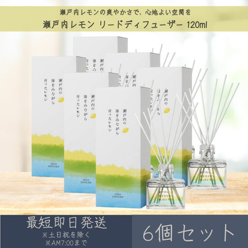 【瀬戸内レモン】リードディフューザー 120ml 6個セット │ デイリーアロマジャパン デイリーアロマ ギフト プレゼント 日本製 瀬戸内 レモン 柑橘 ルームフレグランス リラックス インテリア 【瀬戸内レモン】リードディフューザー 120ml 6個セット │ デイリーアロマジャパン デイリーアロマ ギフト プレゼント 日本製 瀬戸内 レモン 柑橘 ルームフレグランス リラックス インテリア