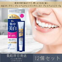 サンスター 【オーラツー】 プレミアムクレンジングペースト プレミアムミント 17g 12個セット | SUNSTAR Ora2 歯磨き粉 歯みがき粉 ディープ...