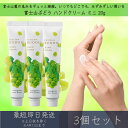 【富士山ぶどう】 ハンドクリーム ミニ 20g 3個セット │ デイリーアロマジャパン デイリーアロマ ギフト プレゼント 日本製 富士山 ぶどう 葡萄 保湿 乾燥対策 ハンドケア 手荒れ対策 マスカット アルガンオイル シアバター ツボクサエキス 富士山ワイナリー 甲州