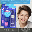 ロート製薬 デオコ スカルプケアシャンプー つめかえ用 370ml ×2個セット │ スカルプ ケア アミノ酸 メンズシャンプー メンズ シャンプー 頭皮ケア 男性 美容室 人気 爽やかな香り