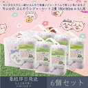 ちいかわ ふんわりレジャーシート 2畳 180x180cm 4~5人用 6個セット │ アサヒ興洋 ナガノ 厚手 大判 レジャー アウトドア 遠足 ピクニック キャンプ お花見 運動会 海 キャラクター お弁当 ランチ 子ども 子供 キッズ ピクニックシート レジャーマット 敷物 手提げバッグ付