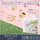 ちいかわ ふんわりレジャーシート 2畳 180x180cm 4~5人用 12個セット │ アサヒ興洋 ナガノ 厚手 大判 レジャー アウトドア 遠足 ピクニック キャンプ お花見 運動会 海 キャラクター お弁当 ランチ 子ども 子供 キッズ ピクニックシート レジャーマット 敷物 手提げバッグ付