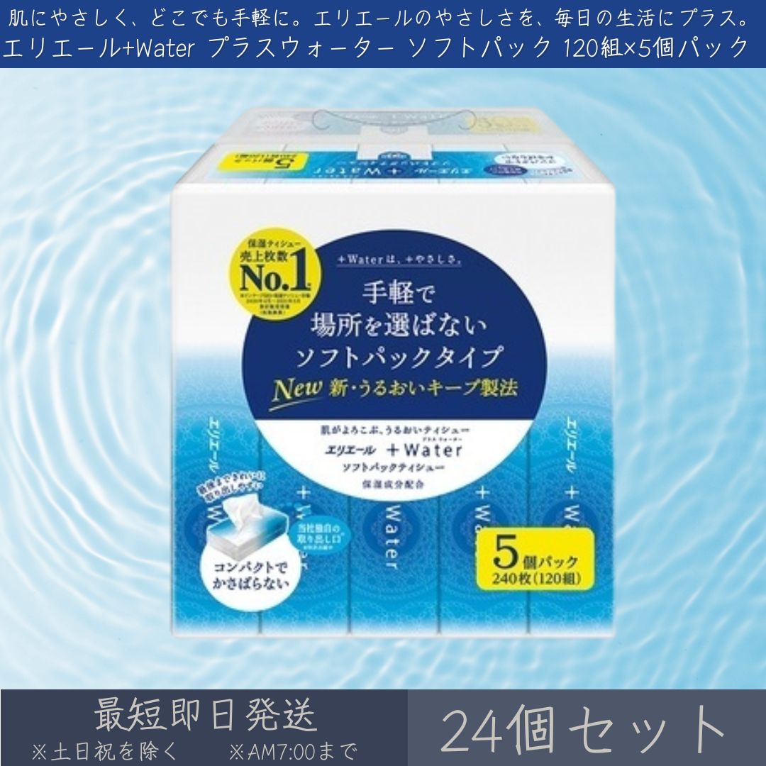 �粦���� ���ꥨ�����Water �ץ饹���������� ���եȥѥå� 120�ȡ�5�ĥѥå� 24�ĥ��å� �� �ڥ��ꥨ����� �ƥ��å���ڡ��ѡ� Ȣ�ʤ� �ƥ����塼 �ݼ� ȩ�ˤ䤵���� �ѥ��100% ���뤪�� ��� ����ѥ��� ���餫 �ޤȤ��㤤