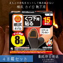 桐灰カイロ くつ下用 貼る つま先 黒 15足分入 48個セット 小林製薬 桐灰 カイロ くつ下専用カイロ くつ下に貼る 8時間 寒さ対策