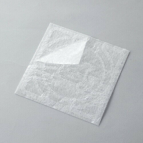 �ѥä�Ž������ۥ���Ȥ�ե��륿����������15cm 6���� 24�ĥ��å� ������ե��륿�� �ۥ���Ȥ� �����ɻ� �Ἴ�ݽ� �ȥ��� ����Ϥ æ���