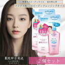 ソフティモ スピーディ クレンジング オイル つめかえ (210ml) 2個セット 4971710576221 メイク落とし 洗顔 コーセーコスメサポート