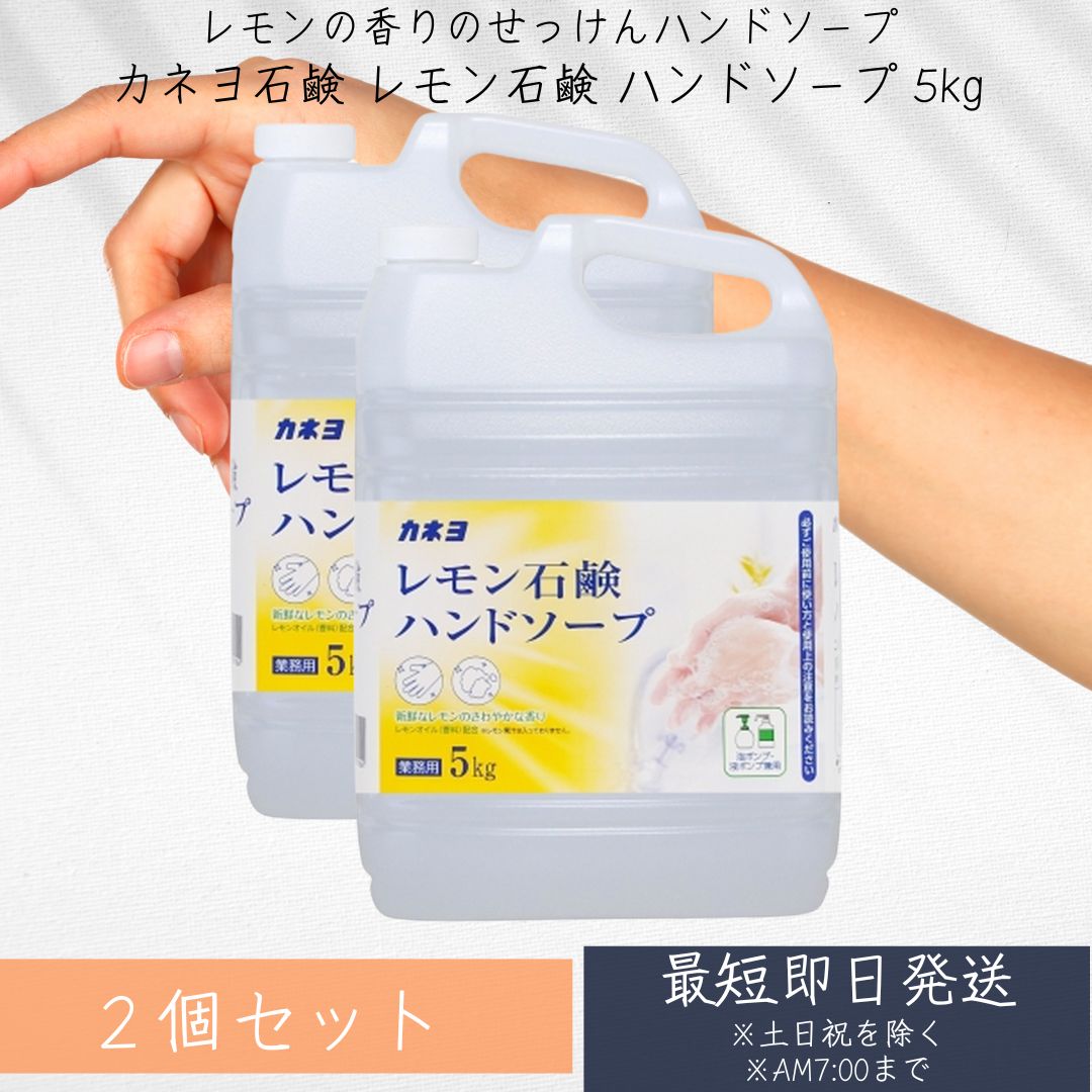 カネヨ石鹸 レモン石鹸 ハンドソープ 5kg 2個セット 業務用 泡ポンプ 新鮮なレモンのさわやかな香り ハンドソープ 液体石鹸 ベビーせっけん 台所用せっけん